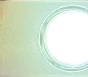 Módulos Led 1 diodo DC/12V Everylite